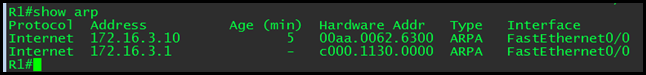 show_arp_ping